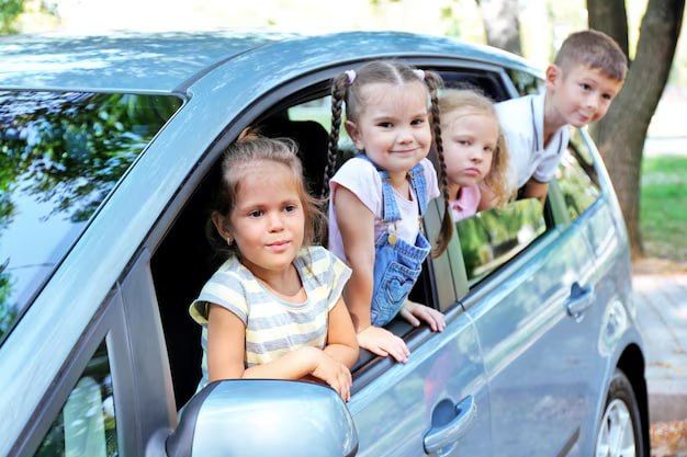 В России предложили сделать бесплатной парковку для многодетных по всей России