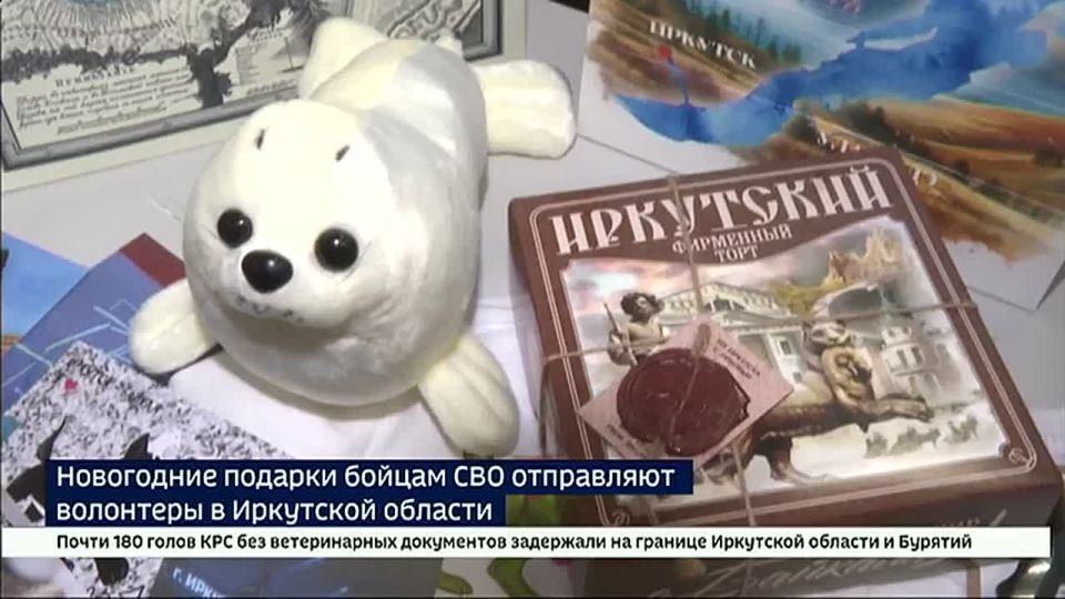 Новогодние подарки бойцам СВО отправляют волонтеры в Иркутской области