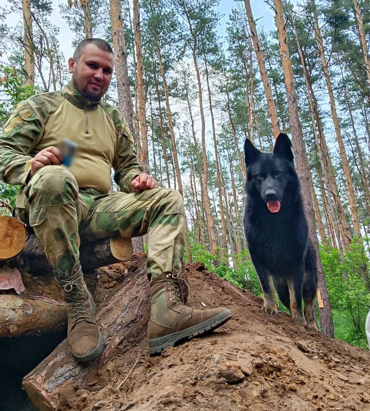 Овчарку посмертно номинировали на премию «Мой ласковый и нужный зверь»