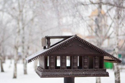 Доброе утро!. Наступает потихоньку то время, когда просыпаешься, а кажется, что ночь