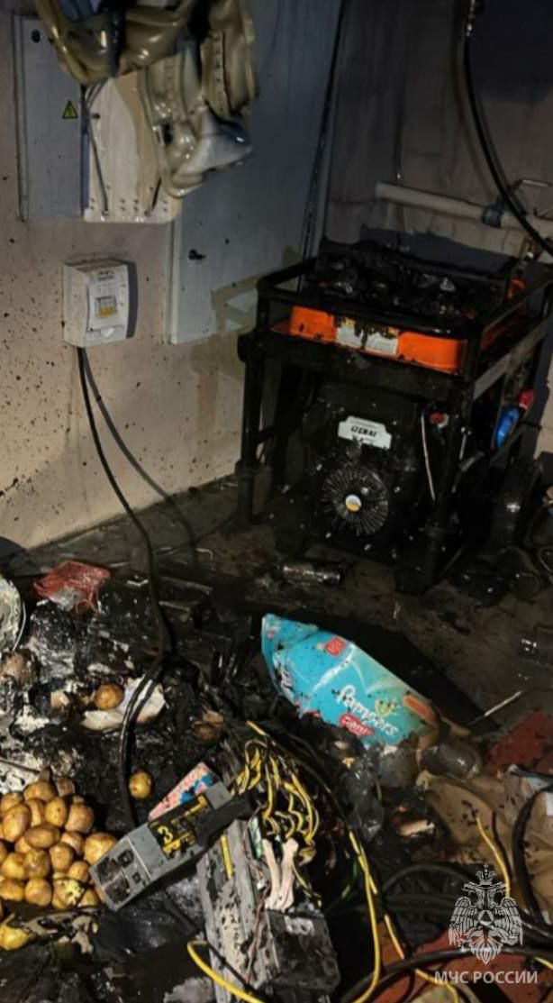 В селе Мамоны загорелся гаражный бокс