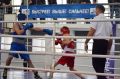 Победителей и призеров открытого областного турнира по боксу памяти мастера спорта СССР Анатолия Караваева определили в Ангарске