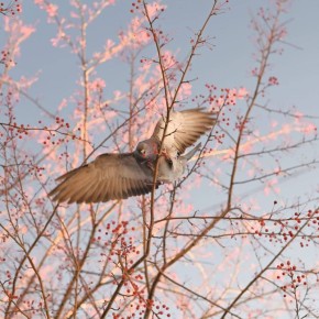  !.           ,  ,   - 