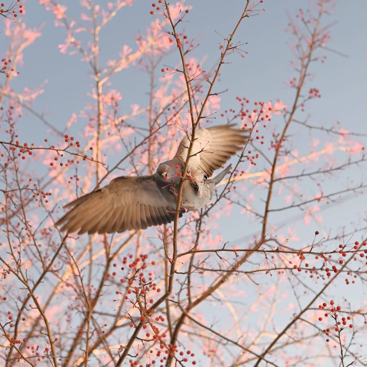 Доброе утро!. В последнее время погода в нашем городе днем больше напоминает осень, чем зиму, которая уже вот-вот наступит