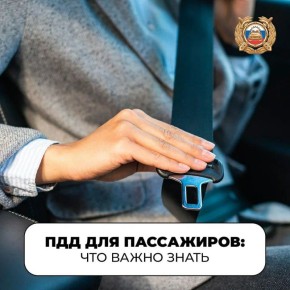 Обязанности пассажиров и правила перевозки детей: что важно знать каждому