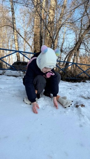         !    ,    3     ,      !