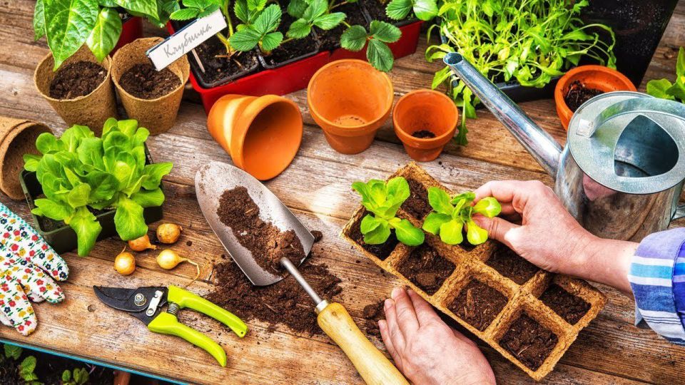 ��������� ���� ���������-��������� ����� �. �. ������� ���������� ������� �� ������� � ����� ��������� � ������� 22 ������ � 10:00