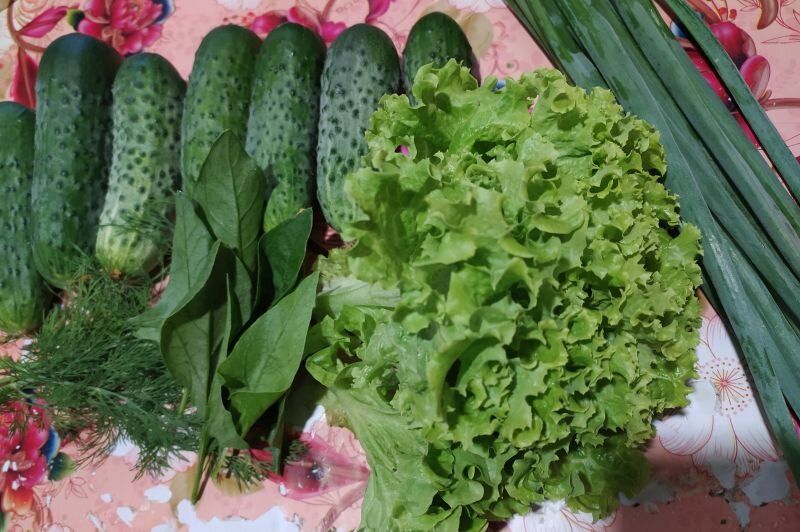 Как добиться богатого урожая на маленьком огороде: секреты уплотненных посевов