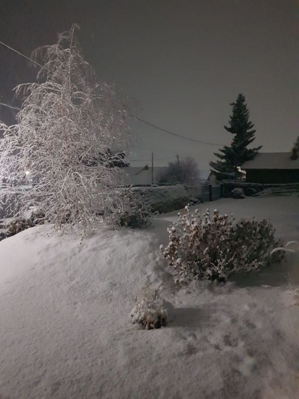 #��������. "� ������� ������ ����� ������� "