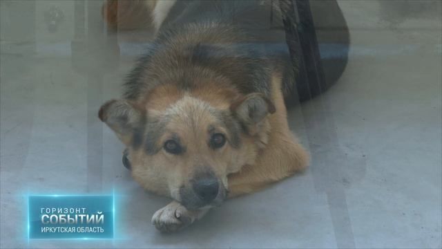 ����������� �������� ��������, ���������, ���� � ������� �����������, ���������� ��������������� �������� �������� � ������ ���� ������� � ����� ������� ��������� ��������� ������� (12+)