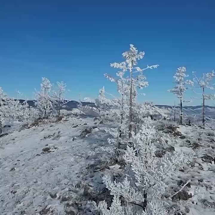 ����������� �������� ����������� �����