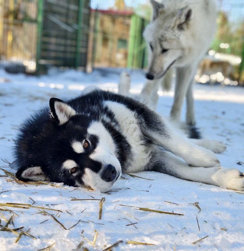 Доброе утро, иркутская область!