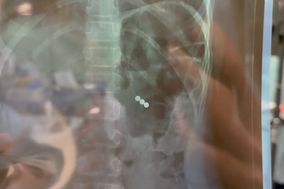 ���� � ����� ���� �� ����������� ���������