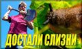 Слизни на дачном участке: как эффективно побороть вредителей весной 2025 года?