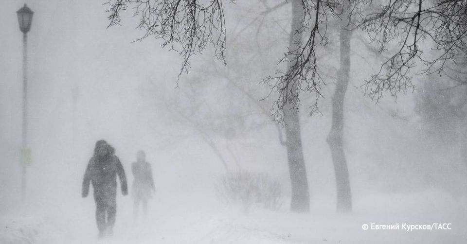 ���� � ������� ����� �� 25 �/� �������������� � ���� �������� ������ 23-24 ������, �������� � ��������������