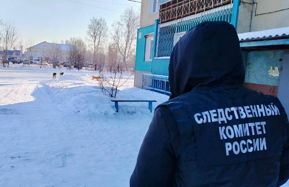 В Тайшете осудили бывшего главу района Александр Величко за халатность при организации отлова и содержания безнадзорных животных