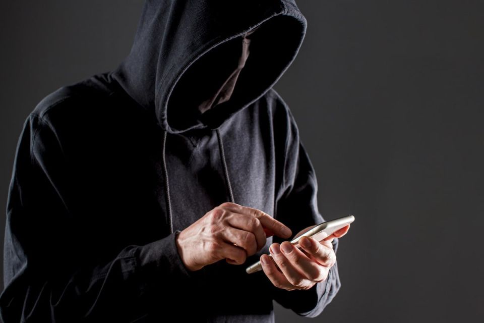 Мошенники маскируют сайты под Минобрнауки и "Госуслуги" для кражи данных школьников