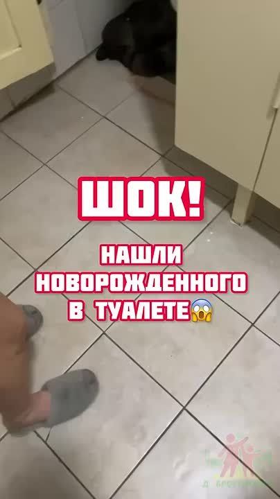 ������� ������ ��������. 17-������ ������� ������ � ��������� ��������, � �������� � �� �� �������������� ����