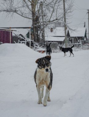 Доброе утро, Иркутская область!