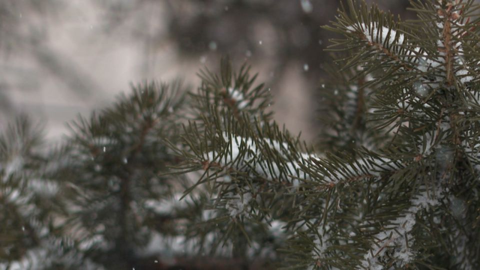 40-��������� ������ ������ ����� ������� ������ ������ ������