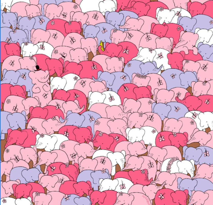 ����� ����� ������� ��������� � ��������� ���� �� ��������������