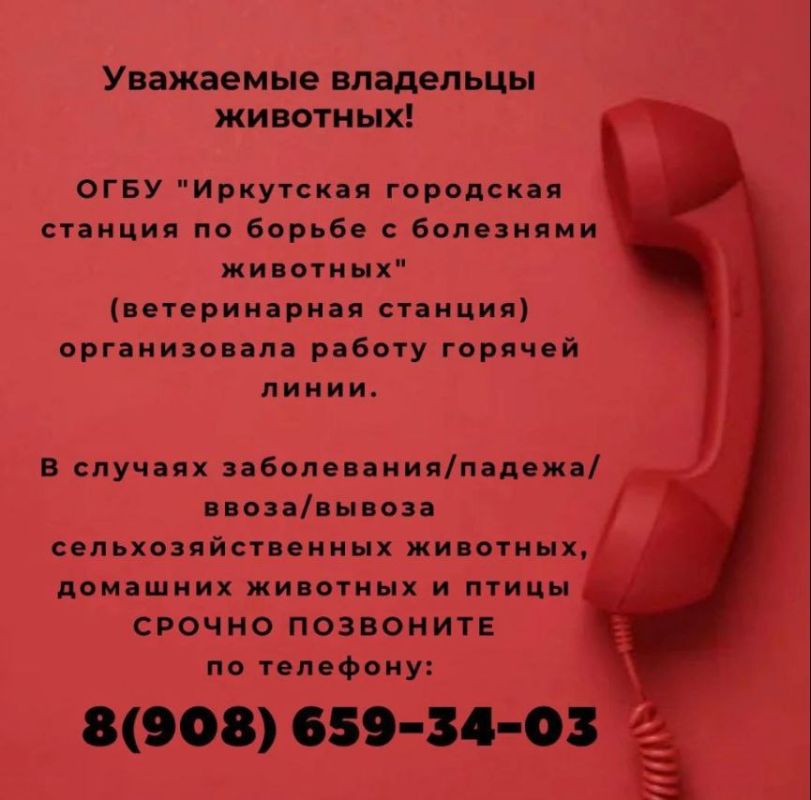 В Иркутске открыта горячая линия для оперативного решения вопросов, связанных с содержанием животных