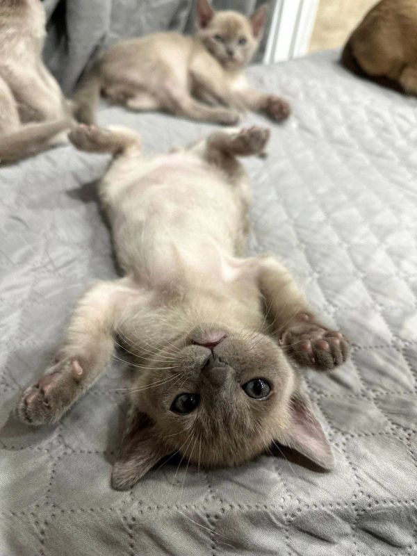 � ������ �����. ����� ��������� ����� ���������� ������, �� ������� ������� �� ���������