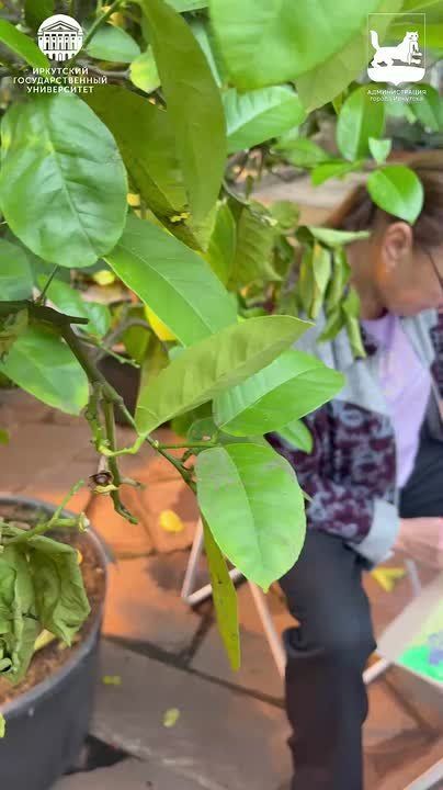 Пленэр в Ботаническом саду посетили частники курса «Искусство и творчество» проекта «Активное долголетие»