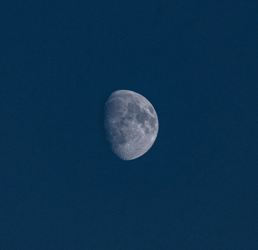 ������ ����, ��������� �������!