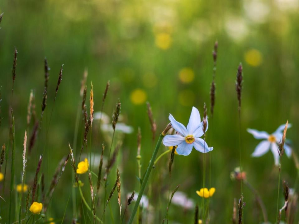 7 ����� � ������������ ������: ��� ���������� �� �������� ��� � ��������