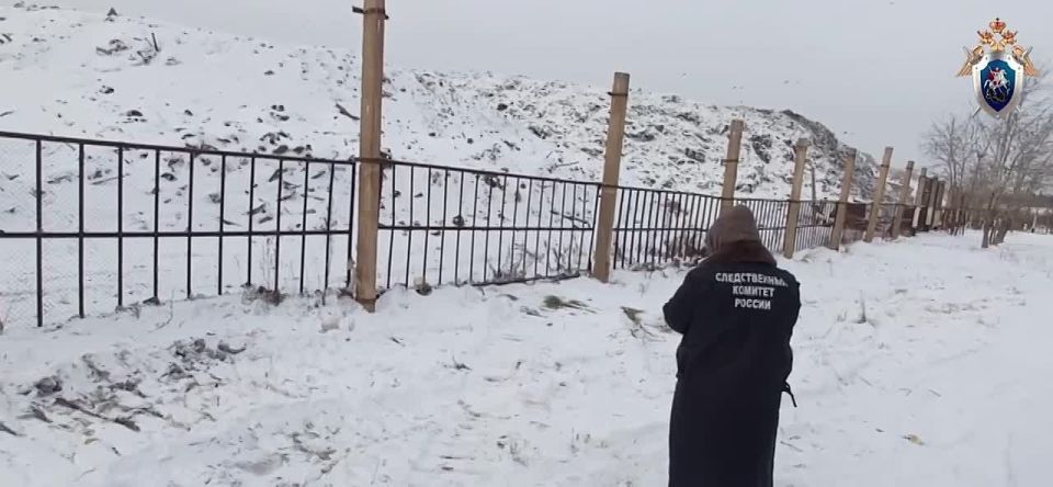 Тело мужчины с укусами от собак обнаружили на мусорной свалке в Братске