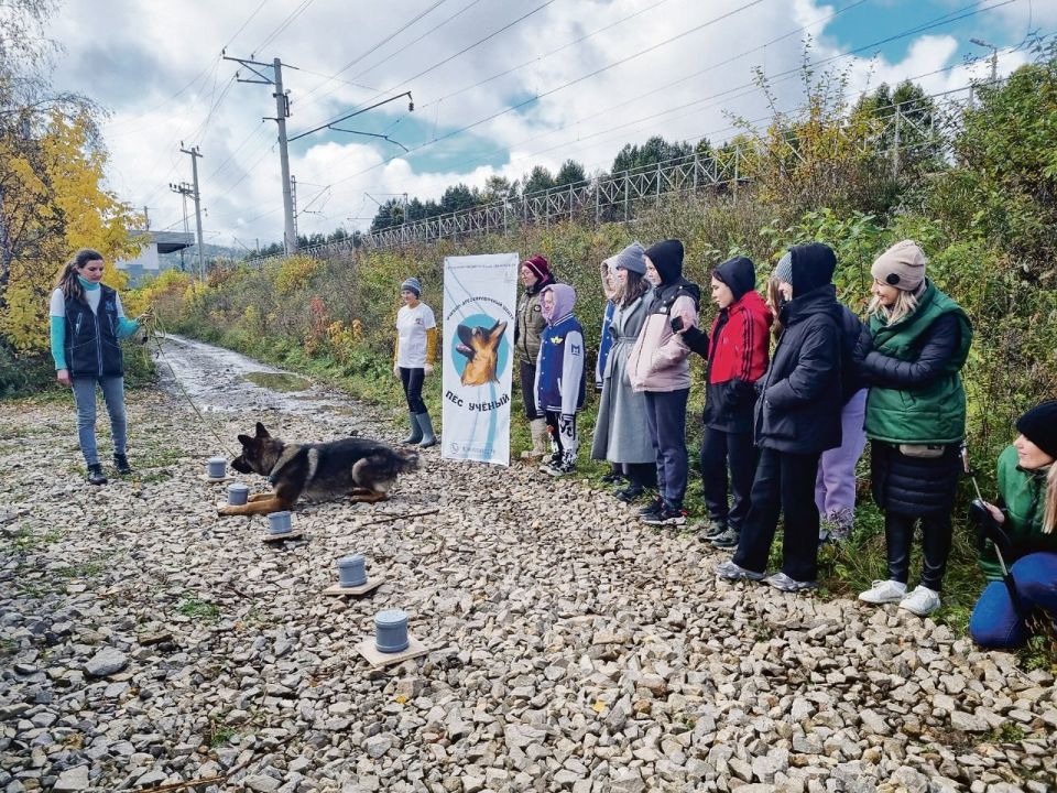 Что делать при встрече с агрессивным псом, как правильно выбрать себе четвероногого друга и избежать из-за него ссор с соседями — этому и многому другому иркутян учат кинологи центра «Пес Ученый» в рамках проекта «Школа...