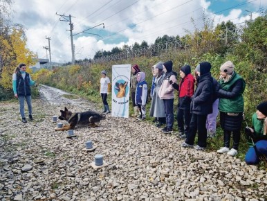       ,         -                   ...