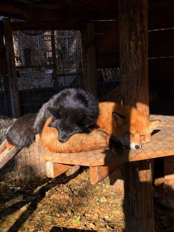 Доброй ночи, Иркутская область!