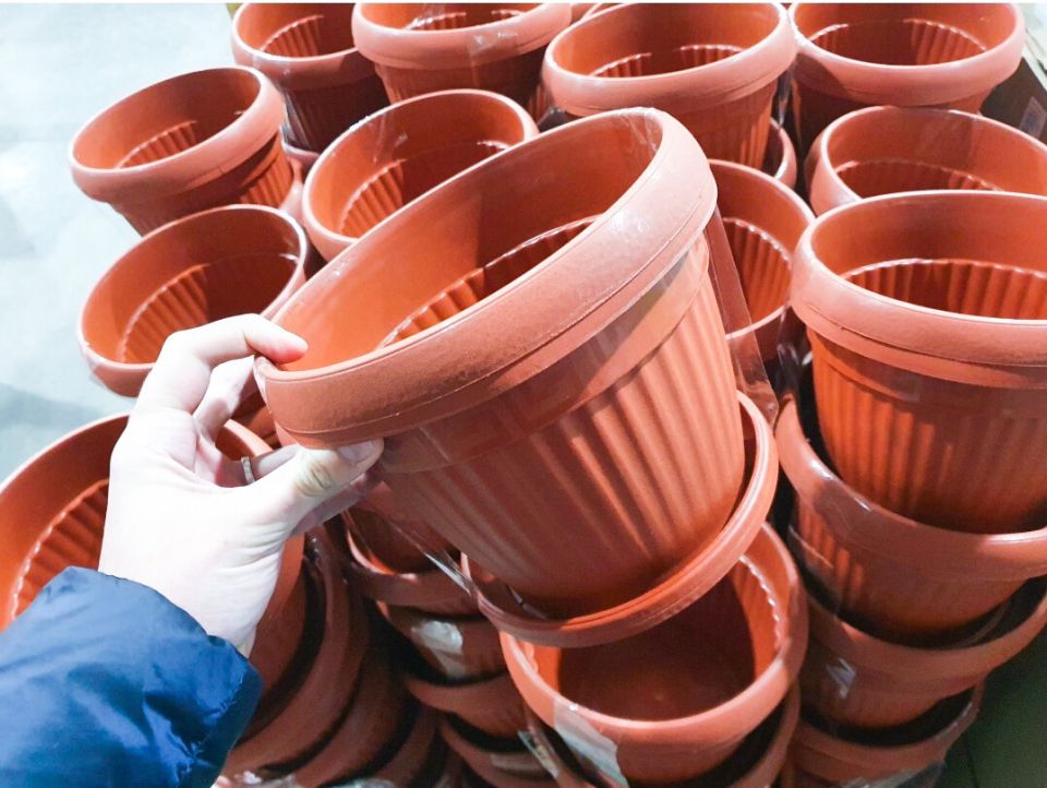 Секреты «Светофора»: находки для садоводов и цветоводов по доступной цене