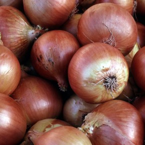 Как вырастить рекордно крупные луковицы: советы и секреты