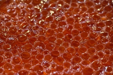 В преддверии новогодних праздников эксперты предупредили о росте количества фальсифицированной икры на рынке