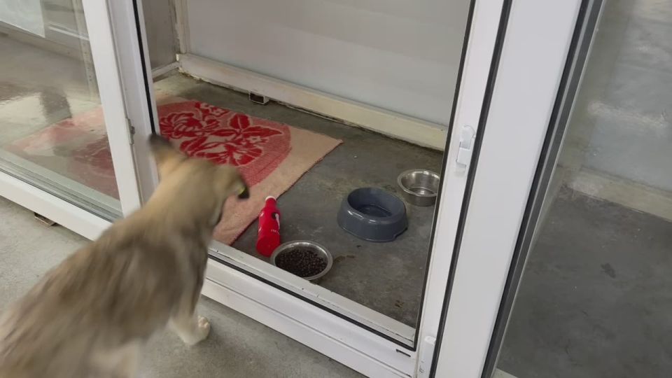 ���������� ������� �������