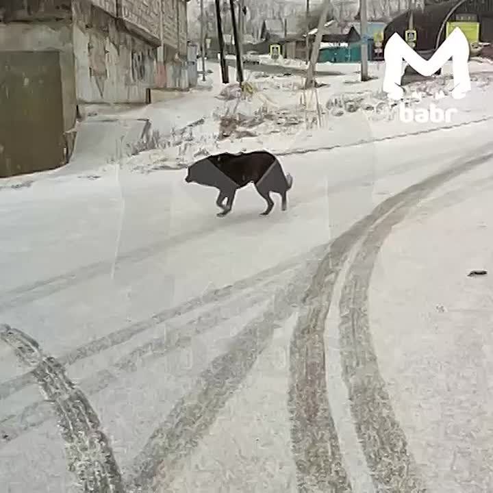 �������� ������ ��������� ���� ������� � ���������� ��������