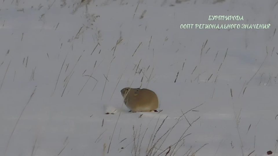 � �� ������, ��� ��������� ������� ��������� �����?