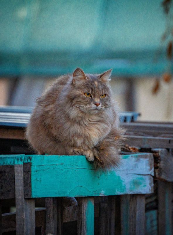 Доброе утро, Иркутская область!