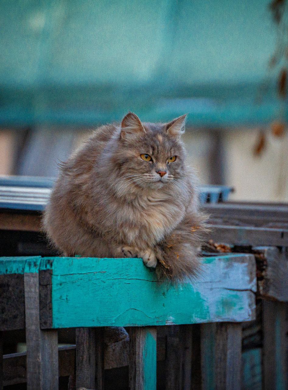 Доброе утро, Иркутская область!