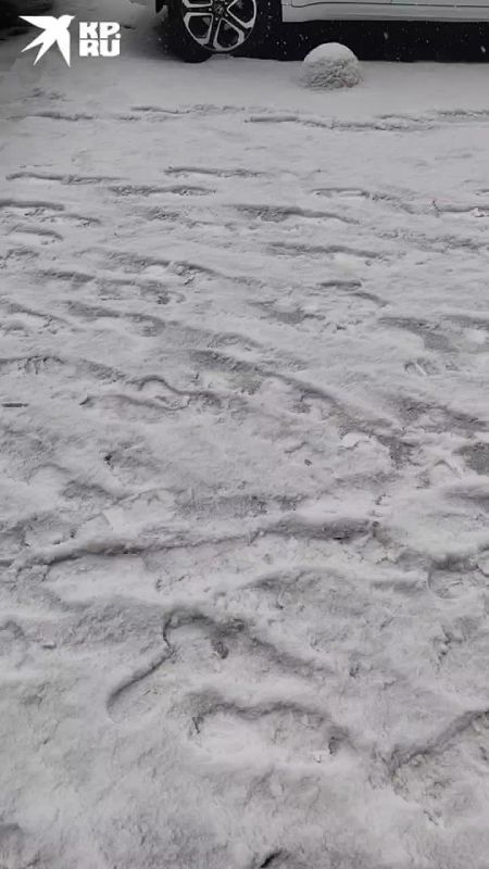 Настоящая снежная сказка пришла в Иркутск