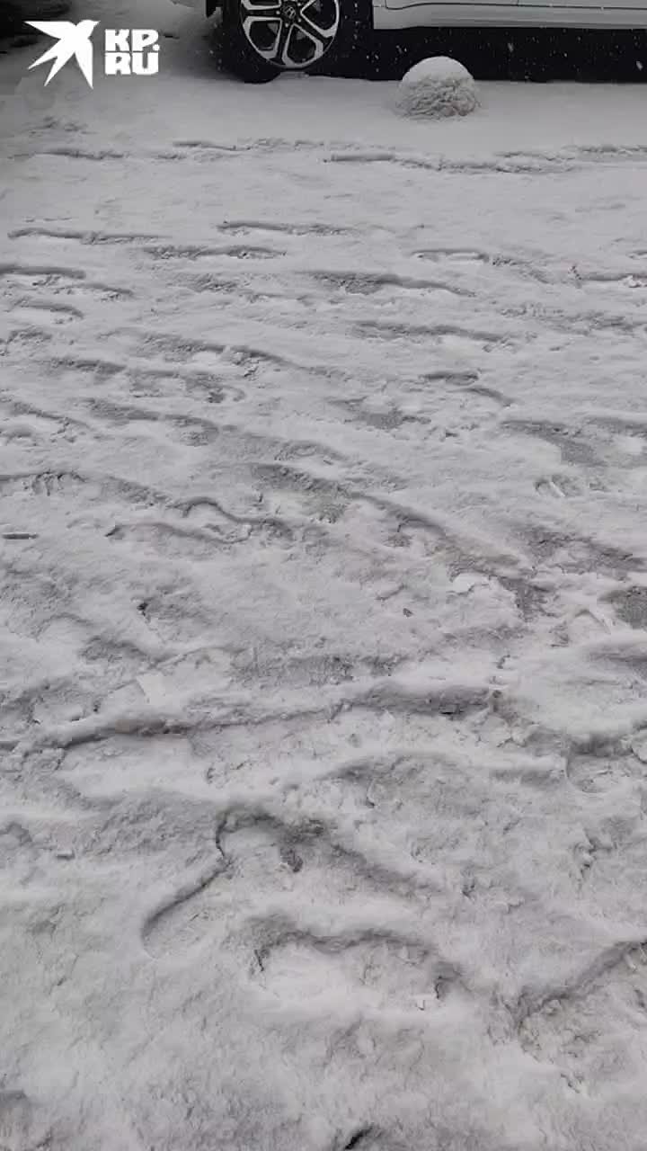 Настоящая снежная сказка пришла в Иркутск