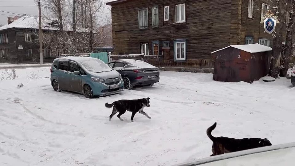 � �������� ����������� �� ������� ��������� ����������� � �������� ���������