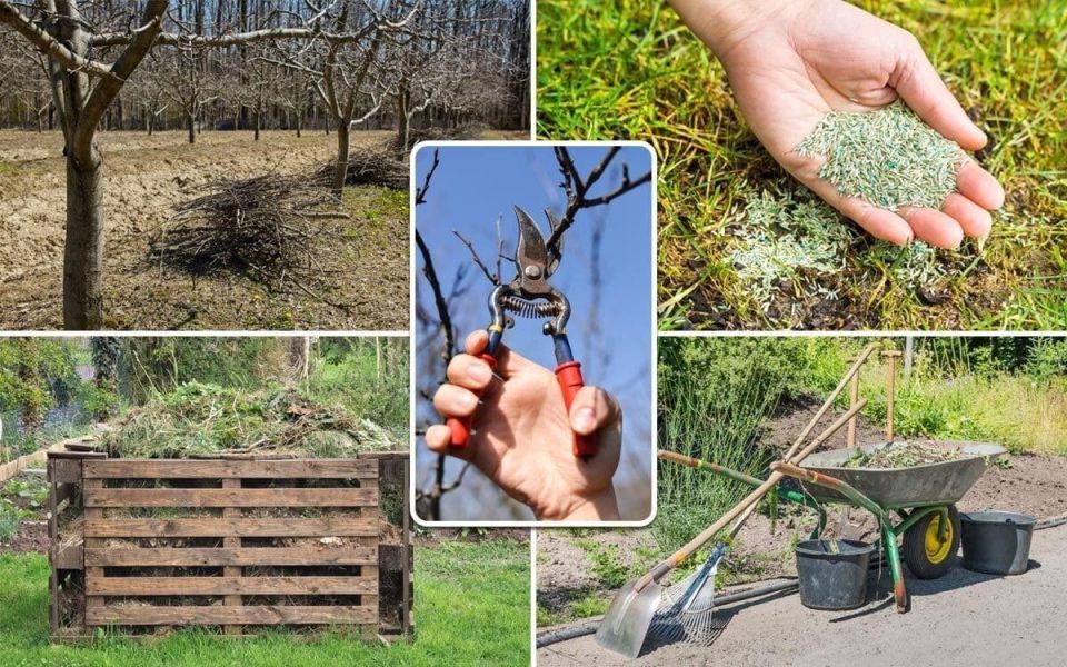 Весна в саду: главное, что нужно сделать до наступления лета