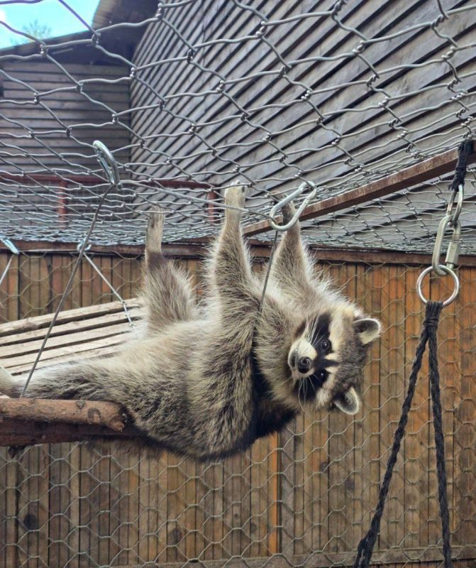 Доброе утро, Иркутская область!