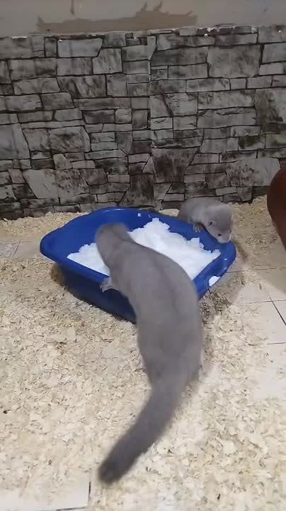 ������� � ����� � ����� �� #����������_�������