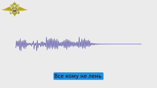 Ирина Волк: Помогая попавшейся на уловки мошенников девушке, мои коллеги в Иркутске вступили в телефонный диалог со злоумышленником и записали его