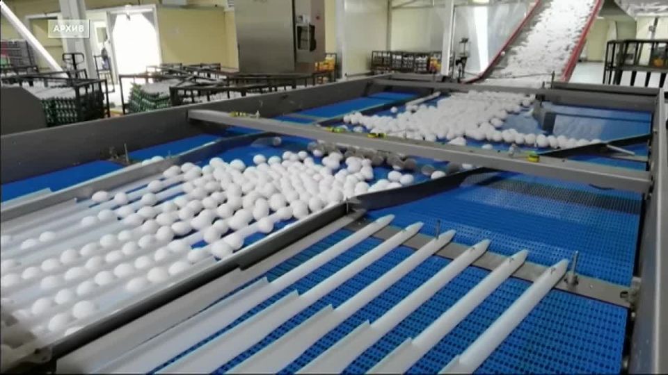 С начала года в Иркутской области произвели 828 миллионов штук куриных яиц